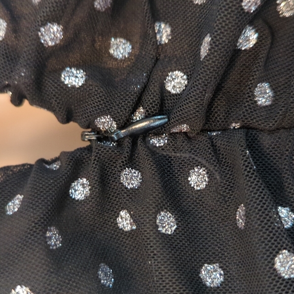 Zara Tulle Silver Dot Swiss Dress - Picture 11 of 16